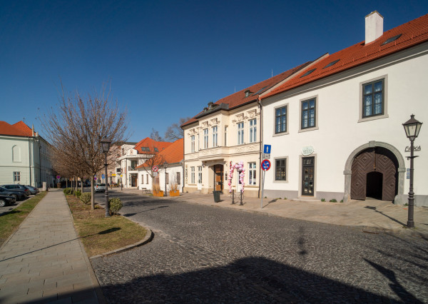 Na prenájom štýlový 3-izbový mezonet v historickom centre Trnavy