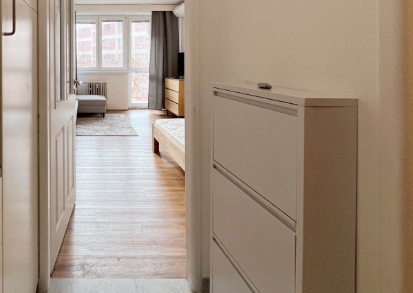 Na prenájom zrekonštruovaný 1-izbový byt, Nové Mesto - Bratislava