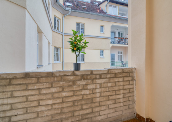 Na prenájom priestranný 4-izbový byt pri OC Nivy