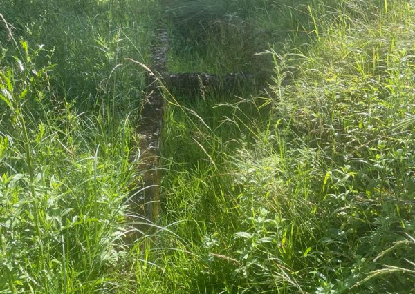 Exkluzívna ponuka Pozemkov (lesy, pasienky, lúky) v k.ú. Šípkov, okr. Bánovce n/B