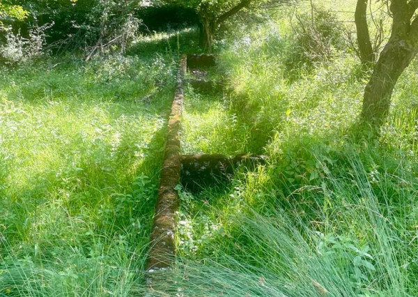 Exkluzívna ponuka Pozemkov (lesy, pasienky, lúky) v k.ú. Šípkov, okr. Bánovce n/B