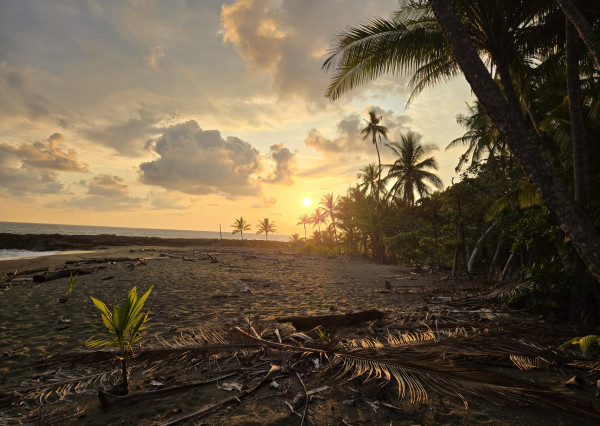 Na predaj investičná 3-izbová vila na polostrove Osa na Kostarike