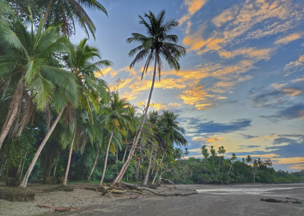 Na predaj tropická vila s možnosťou rezidentúry na polostrove Osa na Kostarike