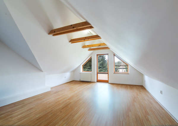 Na predaj priestranný rodinný dom s veľkým pozemkom v Loku pri Leviciach