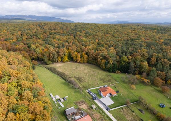 Lukratívna ponuka pozemku v obci Brezolupy 8040m2