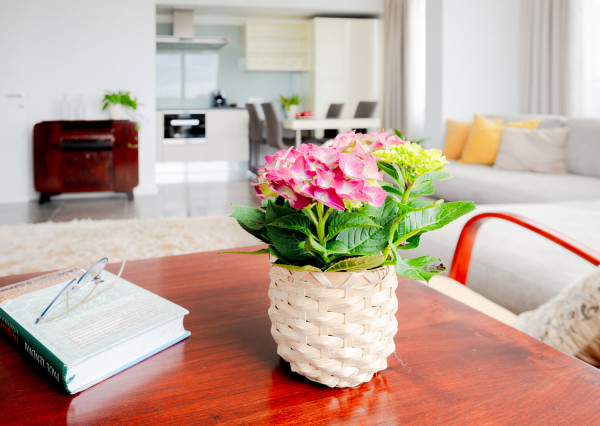 Prenájom - 3i byt s terasou a parkovacím státím v Eurovea