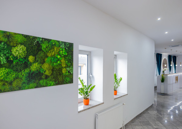 Zubná ambulancia pripravená na okamžité prevádzkovanie v Prešove