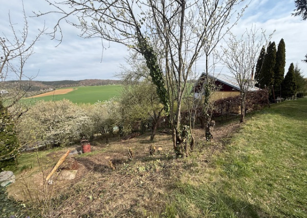 Na predaj pozemok v záhradkárskej oblasti Chrásť - Trenčín