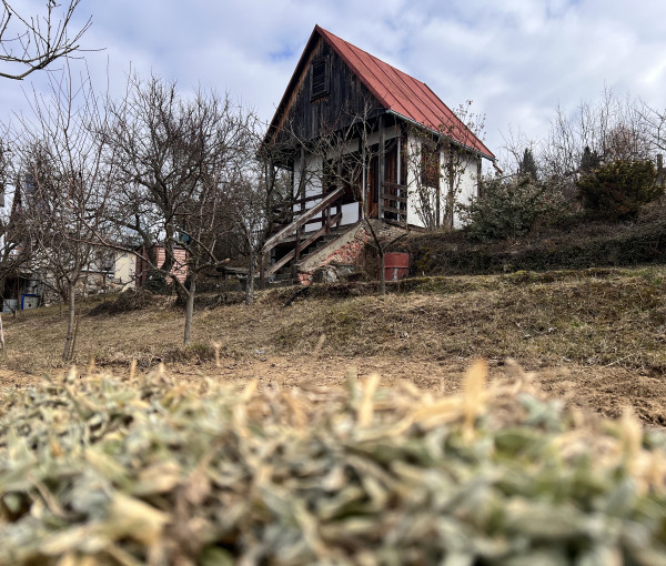 Na predaj rekreačná chatka so súkromným pozemkom v Beckove.