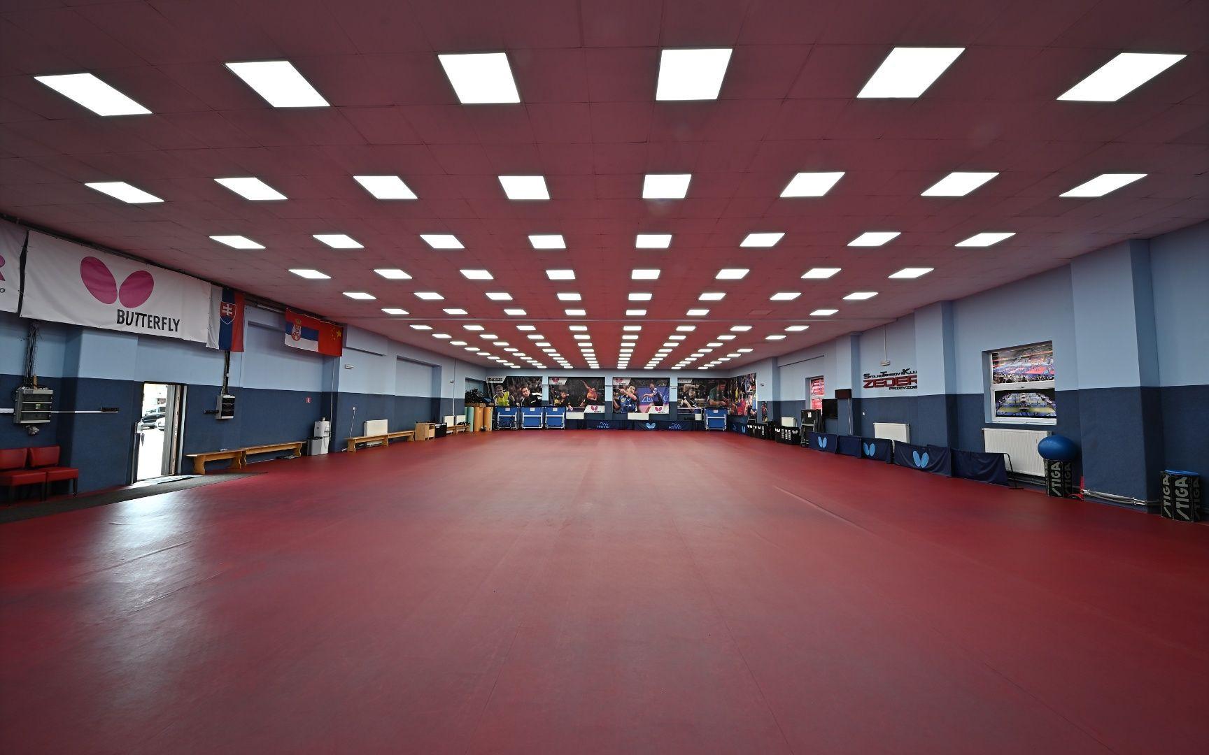 Športová hala,komerčný priestor s investičným potenciálom Prievidza.