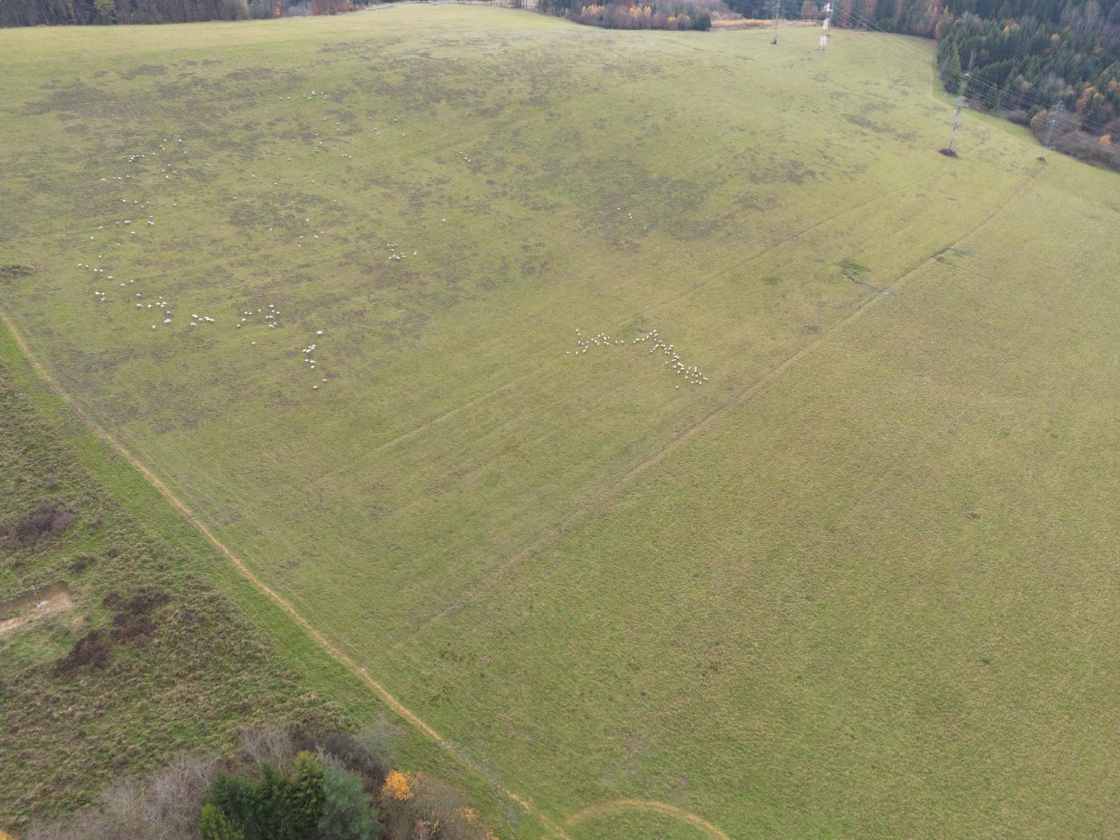 Na predaj pozemok v Žilinskej Lehote