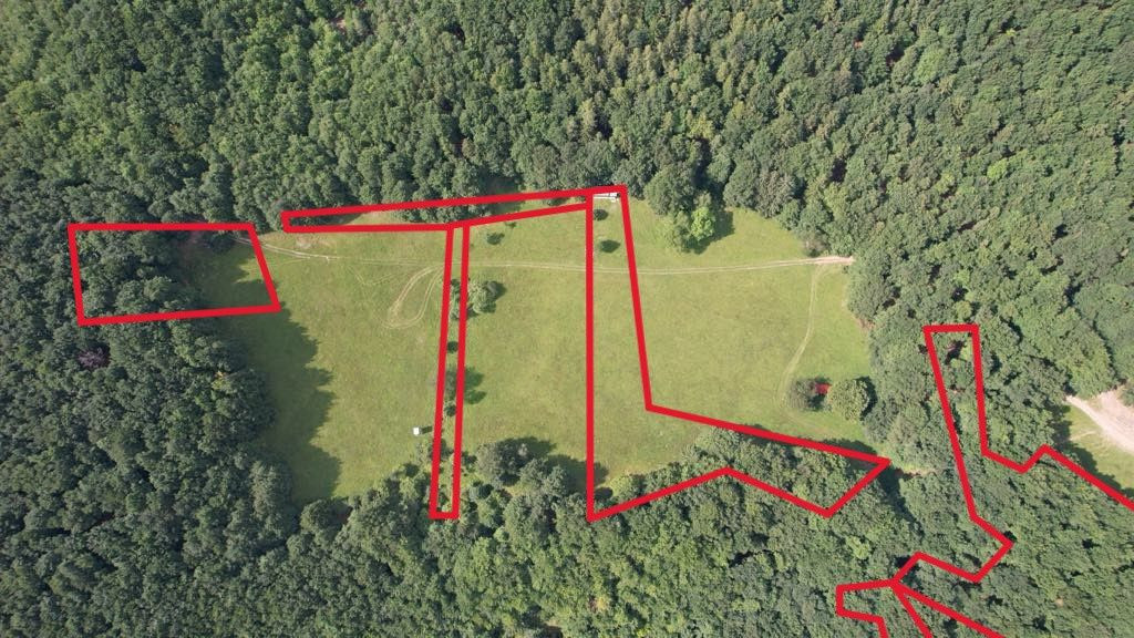 Exkluzívna ponuka Pozemkov (lesy, pasienky, lúky) v k.ú. Šípkov, okr. Bánovce n/B